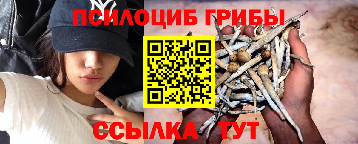 Красногорск  Галлюциногенные грибы MAGIC MUSHROOMS  дарнет шоп  Вход с VPN 